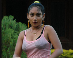 Tejamai Tejamai