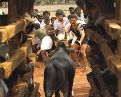 Kamalahasan Kamalahasan