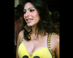 Tanisha Mukherjee Tanisha Mukherjee