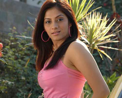 Sindhu Tolani Sindhu Tolani