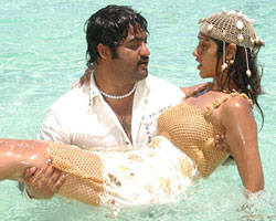 Illiyana with NTR in Rockey Illiyana with NTR in Rockey