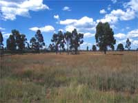Land Land