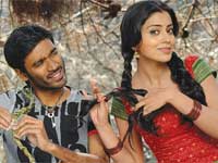 Kutty Kutty