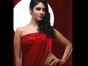 Actress Malavika Wales Actress Malavika Wales