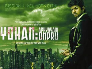 Vijay Vijay
