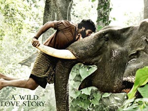 Kumki Kumki