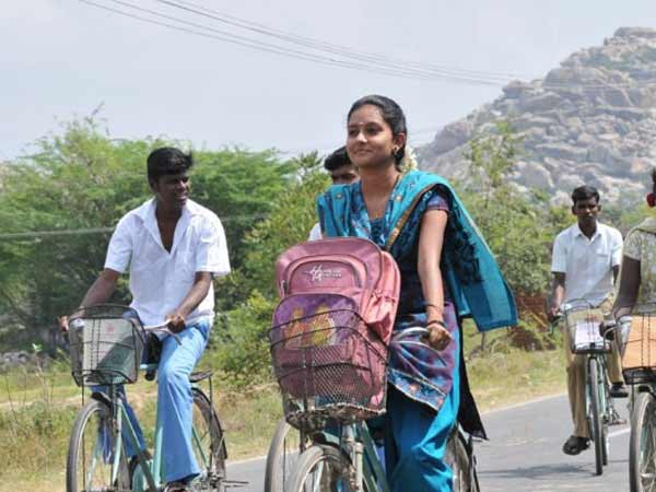 சாட்டை