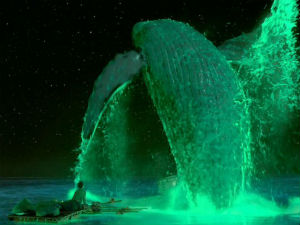 Life of Pi Life of Pi