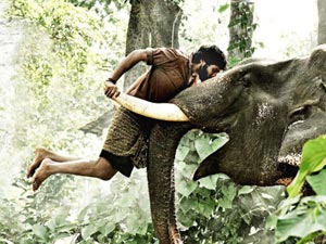 Kumki Kumki