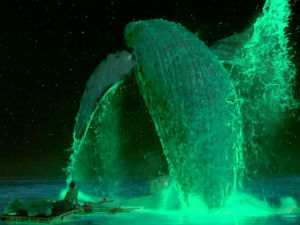 Life Of Pi Life Of Pi