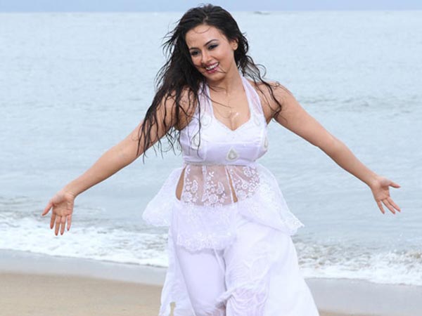 சிலந்தியின் தயாரிப்பு...