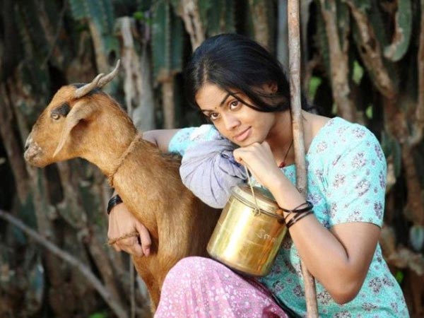ஆடெல்லாம் மேய்த்து என்ன புண்ணியம்...