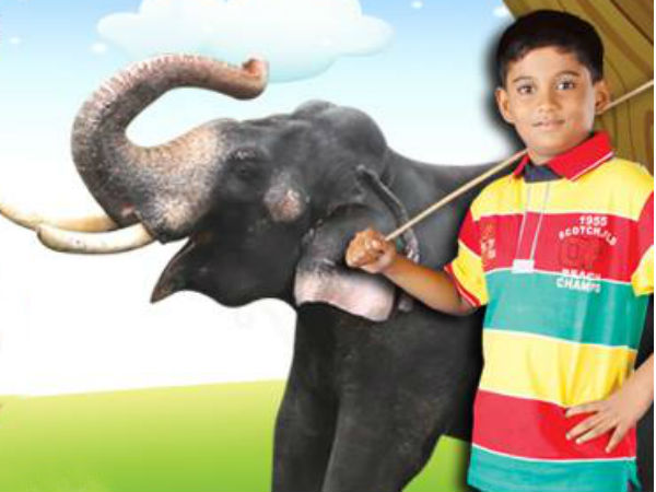 சிறுவனும் யானையும்