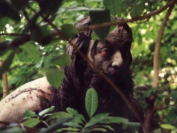 கைவிரித்த பைனான்சியர்கள்