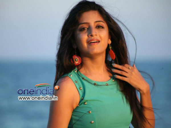 பாடல்கள் சினேகன்....