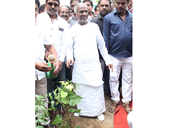 Ilayaraaja palnts tree sapling on his birthday Ilayaraaja palnts tree sapling on his birthday