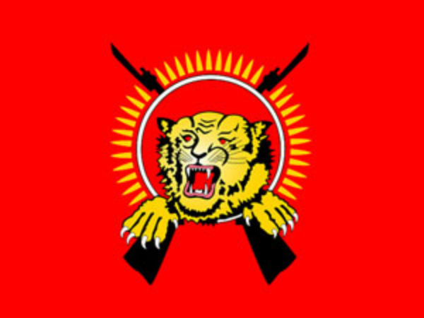 புலிப்பார்வை...