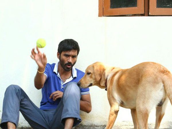 தனுசுக்கு கண்டனம்
