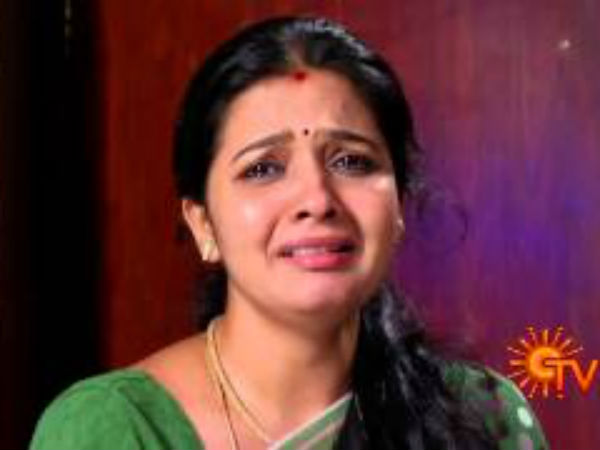 விலங்கு சேனல்களைப் பாருங்க
