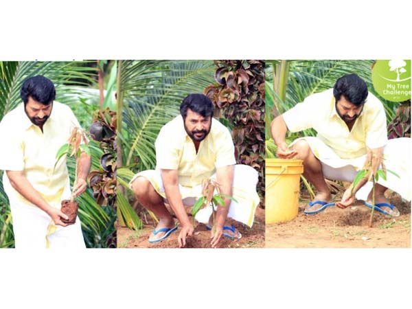 இதையும் சேர்த்துக்குங்க...