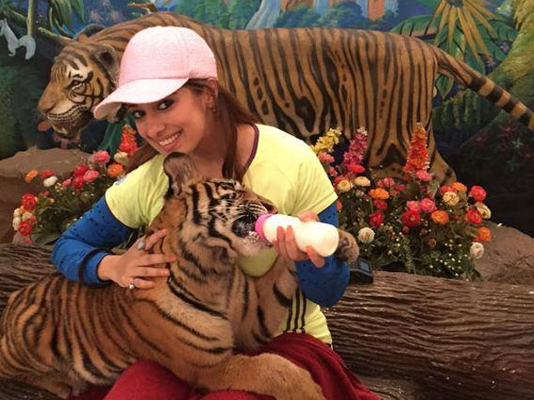 Actress Raai laxmi Give The Milk For Original “ Tiger “ Actress Raai laxmi Give The Milk For Original “ Tiger “