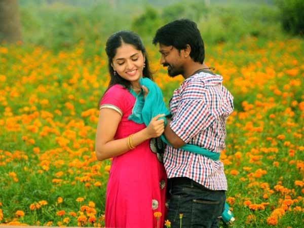 Is Sunaina reason for Krishna - Hemalatha divorce? Is Sunaina reason for Krishna - Hemalatha divorce?