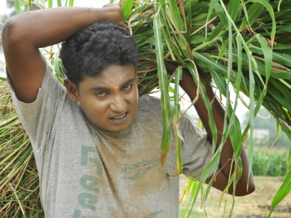 கோல்டு ஸ்டாரின் பொன்னான சபதம்