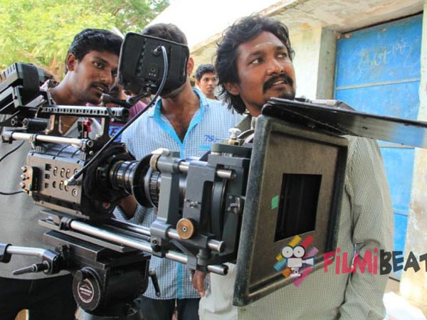 Crew of Film Unit Injured in Bee Attack in Tamil Nadu, Shooting Cancelled Crew of Film Unit Injured in Bee Attack in Tamil Nadu, Shooting Cancelled