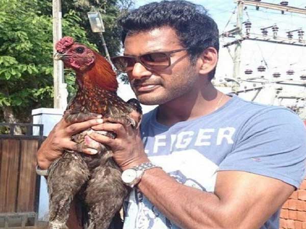 சண்டக்கோழி