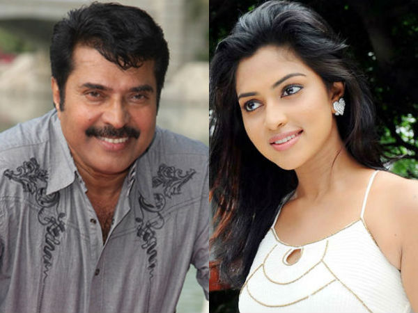 Amala Paul to be paired with Mammootty Amala Paul to be paired with Mammootty