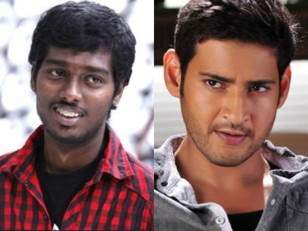 Atlee Team Up with Mahesh Babu Atlee Team Up with Mahesh Babu