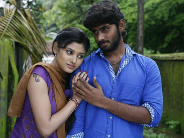 ராஜ் டிவி
