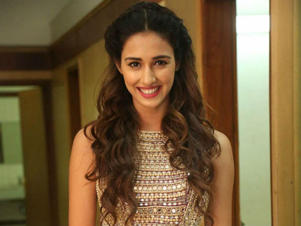 MS Dhoni: The Untold Story- Disha Patani reveals the reaction of Dhoni and wife Sakshi on biopic MS Dhoni: The Untold Story- Disha Patani reveals the reaction of Dhoni and wife Sakshi on biopic