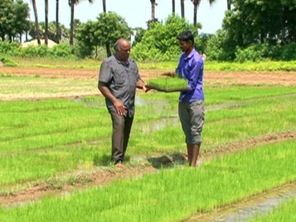 Peppers TV Ulavan Magan new program Peppers TV Ulavan Magan new program