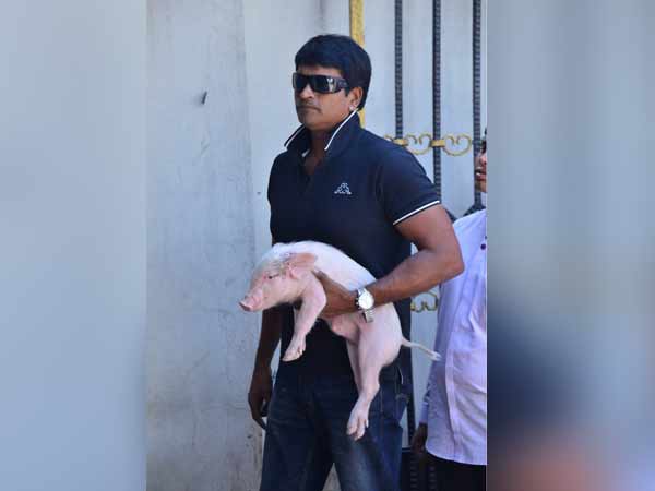 பண்ணை