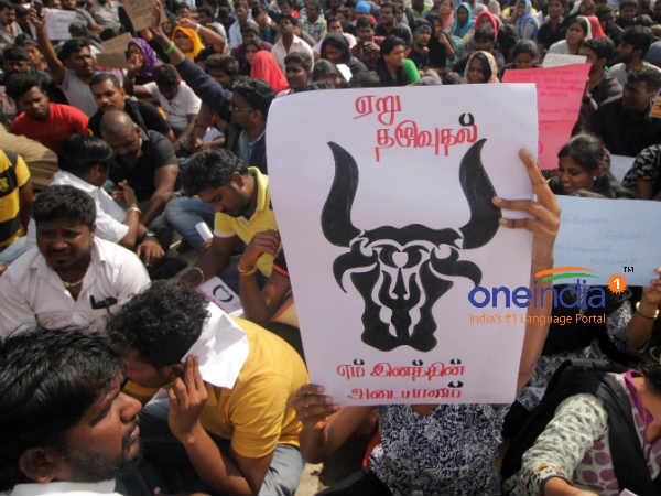 Tamil Film Industry's full support to Jallikkattu protests Tamil Film Industry's full support to Jallikkattu protests