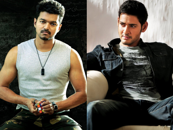 Vijay's decision to enter Telugu Vijay's decision to enter Telugu