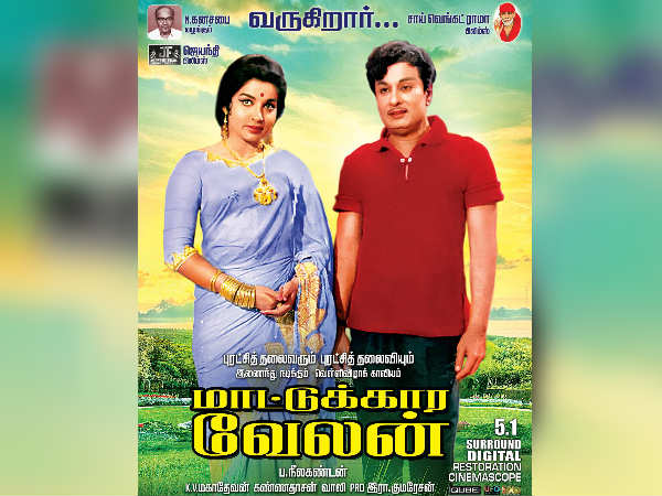 MGR's Maattukkara Velan releasing after 46 years MGR's Maattukkara Velan releasing after 46 years