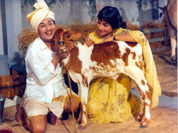 MGR's Maattukkara Velan releasing after 46 years MGR's Maattukkara Velan releasing after 46 years