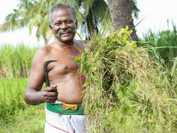 Nedunalvaadai, a movie produced by 50 students Nedunalvaadai, a movie produced by 50 students