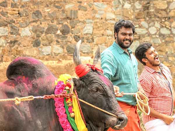 ஜல்லிக்கட்டு போராட்டம்