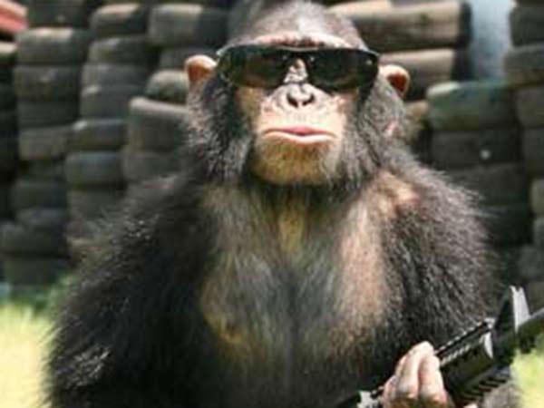 ஜிப்ஸி