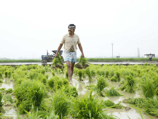 Kadaikkutti Singam speaks to save agriculture Kadaikkutti Singam speaks to save agriculture
