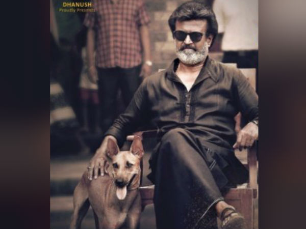 காலா நாய்