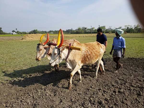 Karthis efforts to redeem agricuture Karthis efforts to redeem agricuture