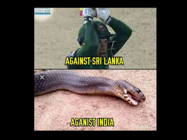கொண்டாட்டம்