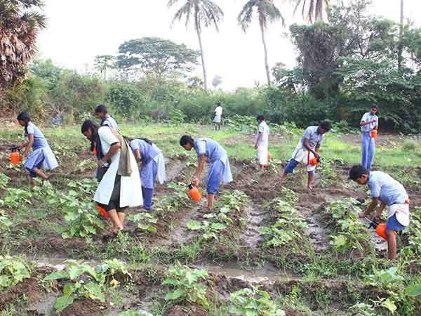 Karthis efforts to redeem agricuture Karthis efforts to redeem agricuture