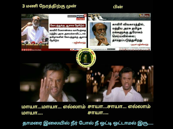 Celebs protest memes flood social media Celebs protest memes flood social media