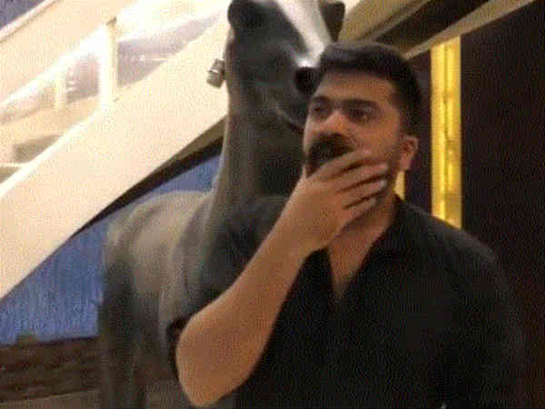 என்ன தான் நடக்கிறது?