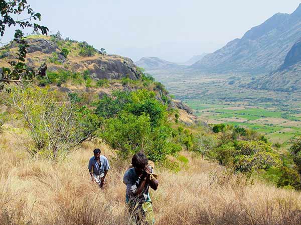 Merku Thodarchi Malai Places In Tamilnadu இது சினிமா அல்ல வாழ்க்கை... 'மேற்கு தொடர்ச்சி மலை' விமர்சனம்! | Merku